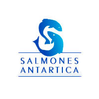 Salmones antartica